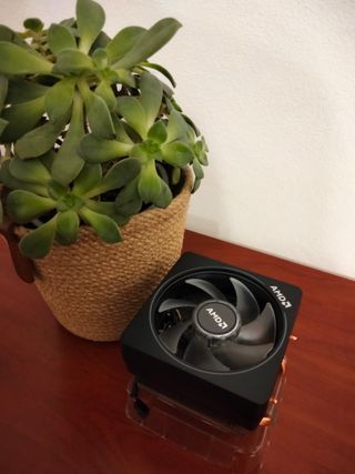 Ryzen 3100 + Cooler | AMD