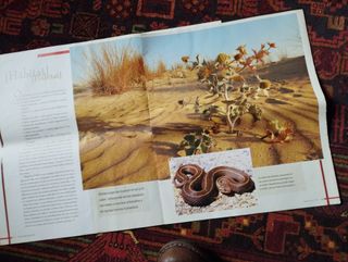 Fauna de Galicia - varios fascículos