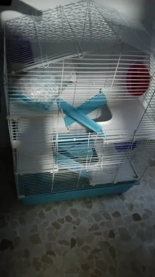 Jaula para hámster multi-nivel