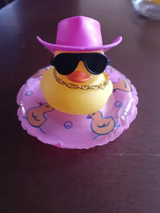 Pato con sombrero rosa y gafas de sol