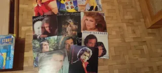 Lote de Vinilos: Dyango, Julio Iglesias, Bertín Os