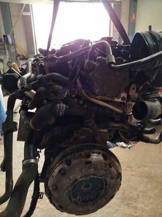 MOTOR COMPLETO AUDI A3 (8P) 2.0 TDI | 0.03 -