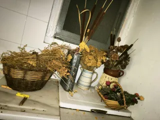 Lote de vajilla y menaje de cocina