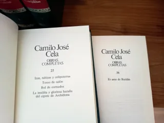 Lote libros