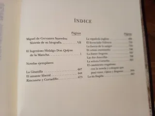 Libro Cervantes