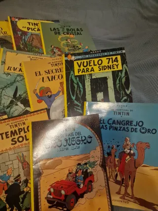 Lote 20 cómics Tintín en español - ano 1996