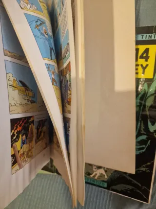 Lote 20 cómics Tintín en español - ano 1996