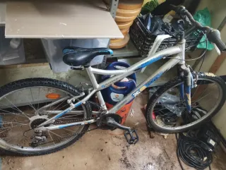 Bicicleta de montaña plateada