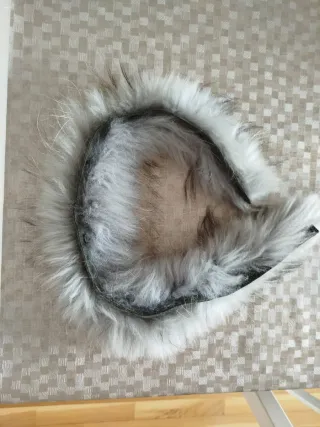 Abrigo pedro del hierro