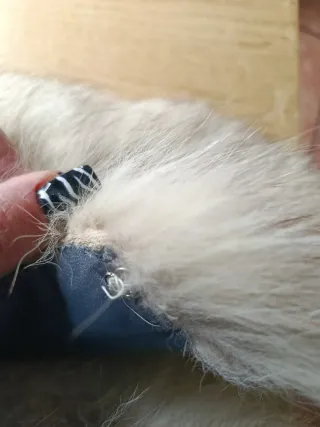 Collo folto pelliccia beige/grigio