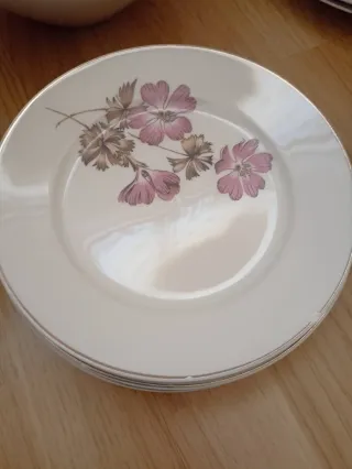 Vajilla Zanagra Santander Porcelana Flores