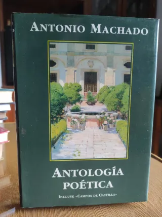 Lote libros Poesía: Machado, Neruda, Hernández etc