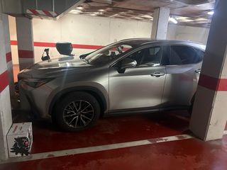 Lexus NX 2025