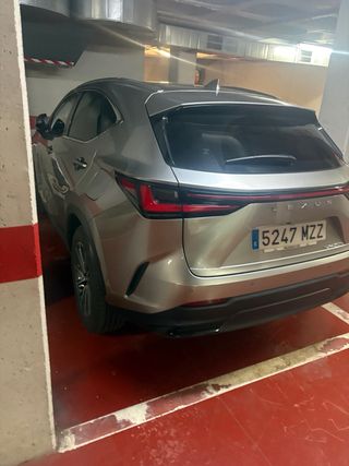 Lexus NX 2025
