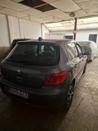 Peugeot 307 2006