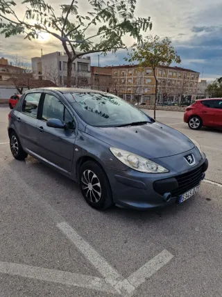 Peugeot 307 2006