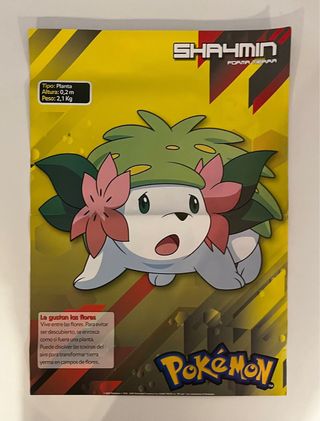 POKÉMON 8 POSTERS GIGANTES.