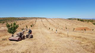 Desbrozadora Panter FD-3 + Asiento