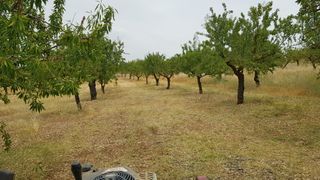 Desbrozadora Panter FD-3 + Asiento