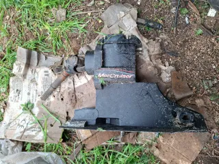 Cola de motor fueraborda