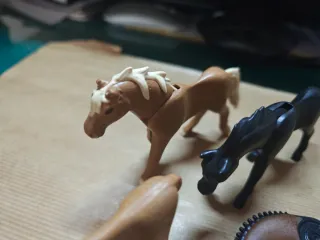 Playmobil C42 Animales y Figuras