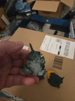 3 Bestias de Nurgle - Sapos