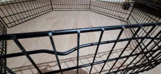 Recinto esagonale per animali domestici