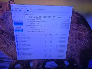 Western Digital Blue 500GB SATA HDD