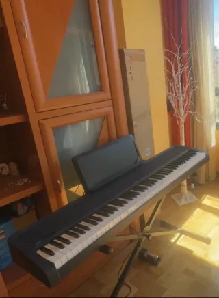 Piano Korg B2N