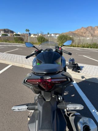 Kawasaki Ninja 500 SE 2024