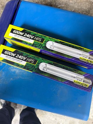 Focos Cultivo Indoor