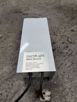 Focos Cultivo Indoor