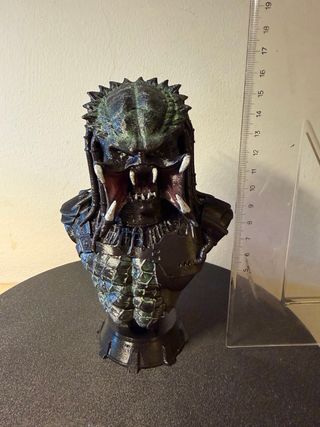 Predator  16CM bust