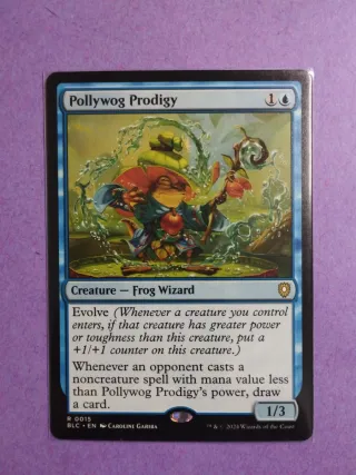 Pollywog Prodigy - anfibio prodigio