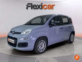 Fiat Panda Panda Hybrid 1.0 Gse 51kw (70CV)