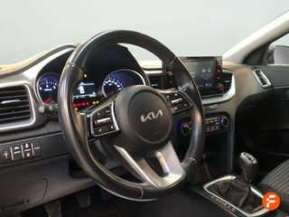 Kia XCeed 1.5 T-GDi Drive 118kW (160CV) - 5P (2023)