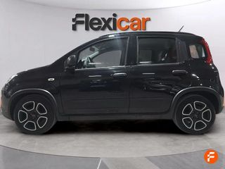 Fiat Panda Panda Hybrid 1.0 Gse 51kw (70CV)