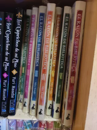 Manga el ratón de biblioteca completo