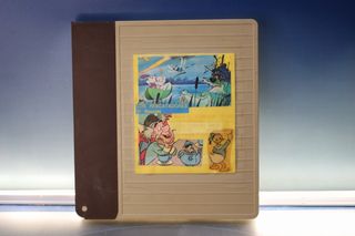 Pelicula Color Super 8 MM Sonoro. Dibujos animados. 180m.