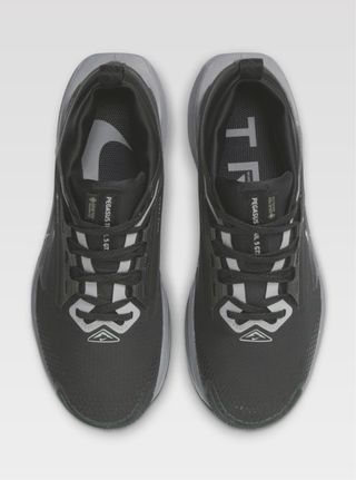 Nike Pegasus Trail 5 GTX Nuevas