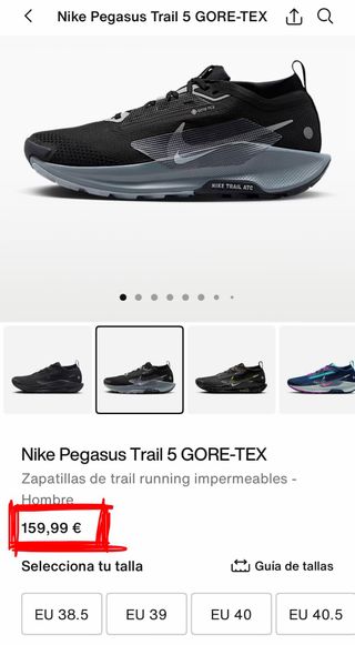 Nike Pegasus Trail 5 GTX Nuevas