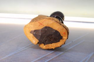 Escultura, talla en madera. Busto. África ¿Tanzania?