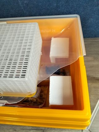 !Tapa rota! Incubadora de huevos covatutto 54