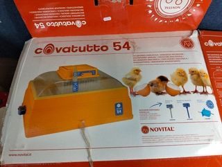 !Tapa rota! Incubadora de huevos covatutto 54