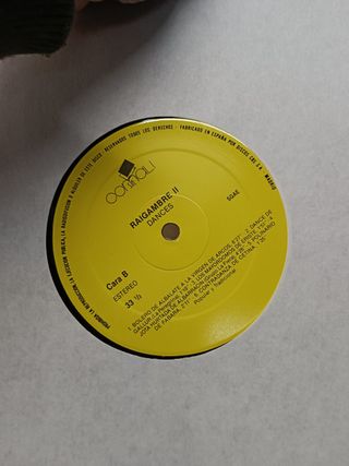 BOX discos, LPs, vinilos, RAIGAMBRE - 6 LP'S VINILO EN CAJA, 1987, FOLK ARAGON