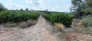 finca rústica