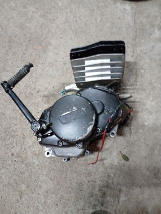 Motor Rieju P4