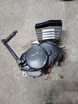 Motor Rieju P4