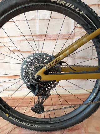 Specialized Epic Evo