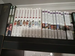 Desaparecido y por el chico que veía manga